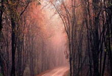 球队内部轮换引发球员自由竞争的故事