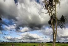 球队内部轮换引发球员自由竞争的故事