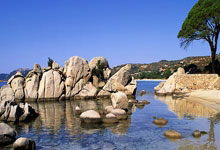 法兰克福摧毁门兴格拉德巴赫