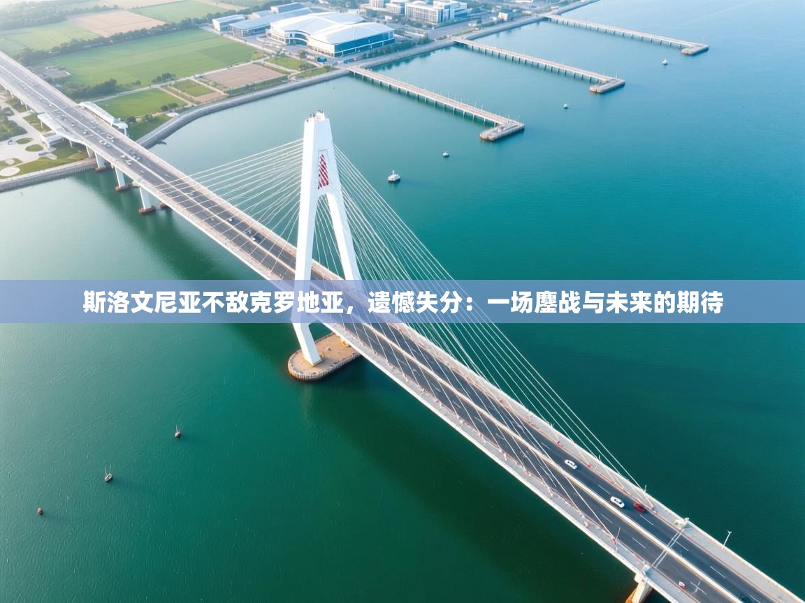 斯洛文尼亚不敌克罗地亚,遗憾失分:一场鏖战与未来的期待 第2张