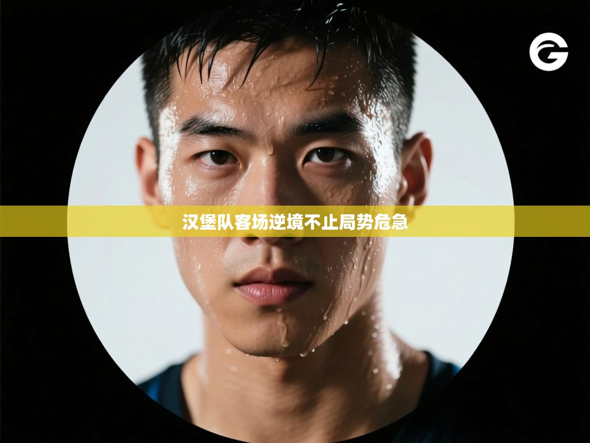 汉堡队客场逆境不止局势危急