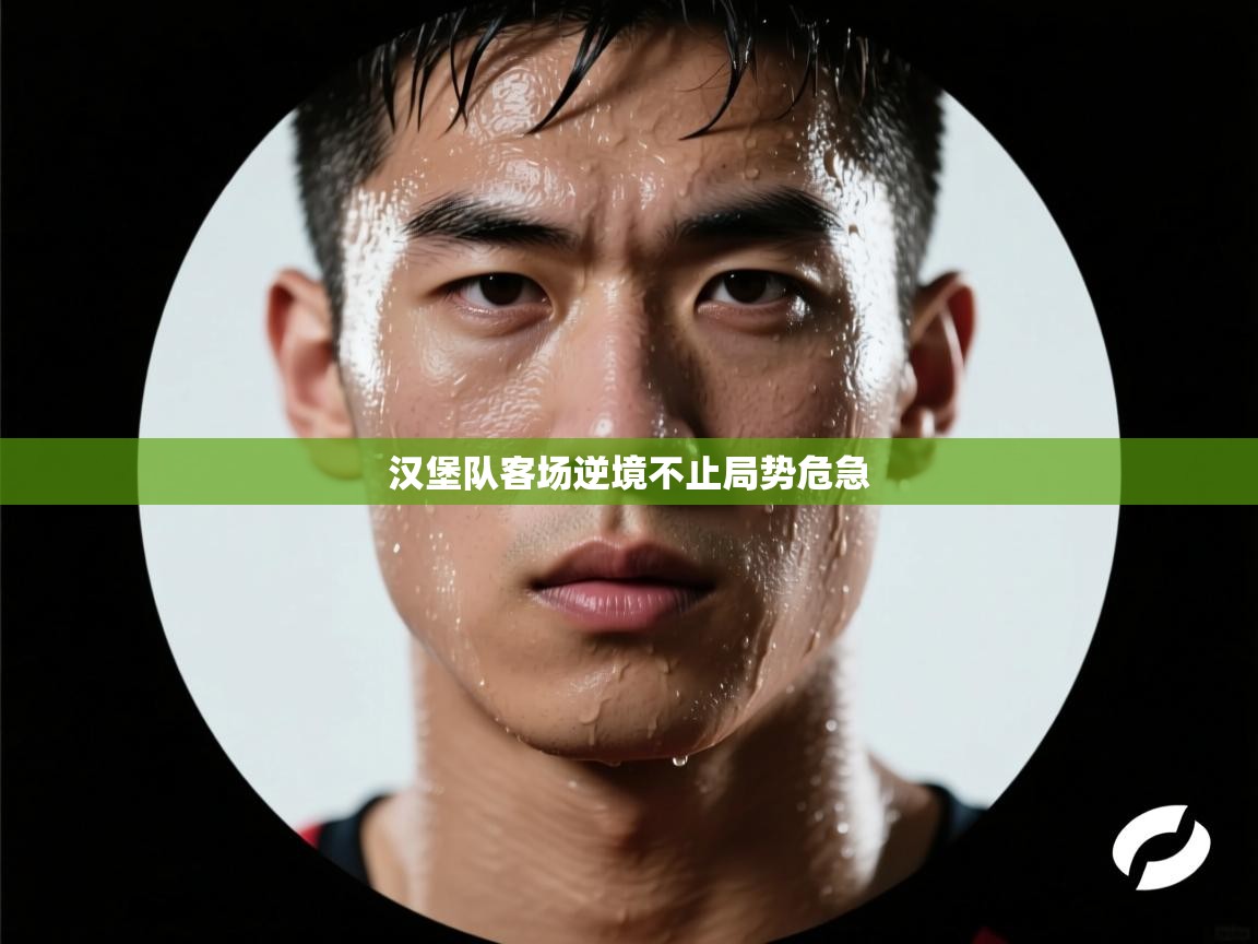汉堡队客场逆境不止局势危急  第2张